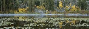 Lilly Lake Fall Pano.jpg