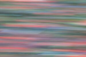 Salmon Impressions 3.jpg