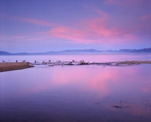 Tahoe Tributary Sunset.jpg