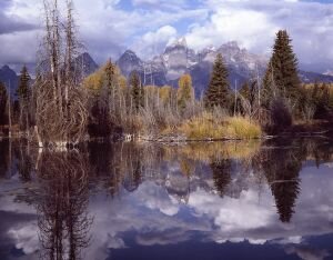 c52-Schwabachers Beaver Pond.jpg
